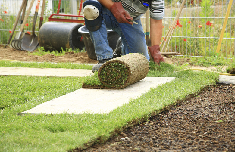 Laying sod for new lawn