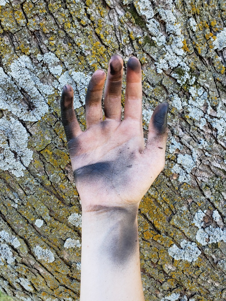 Close-Up Of Cropped Dirty Hand Against Tree Trunk With Lichens