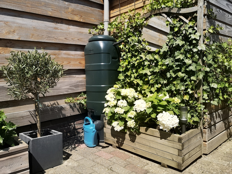 Rainwater tank in garden.