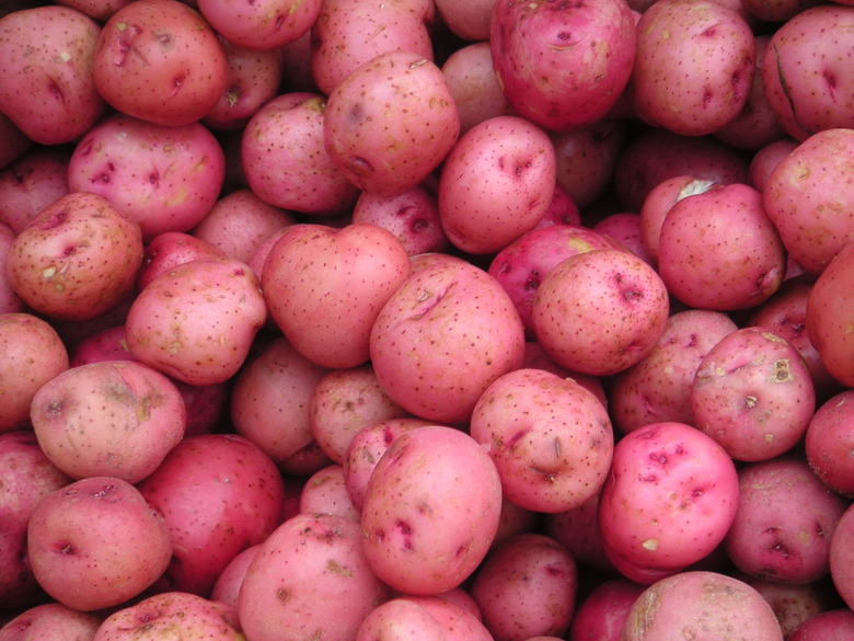 Baby Red Potatoes