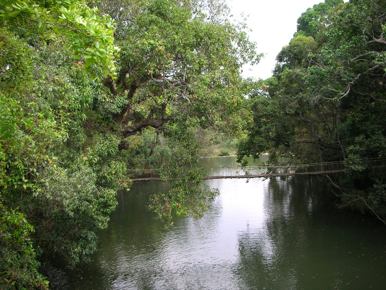 Hanging Rope Bridge over a River