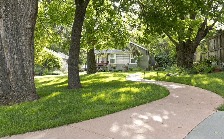 Cottage at end of tree-lined walkway.