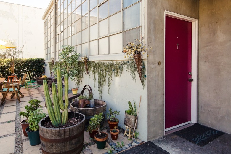 An industrial building with a maroon door with various plants and cacti outside