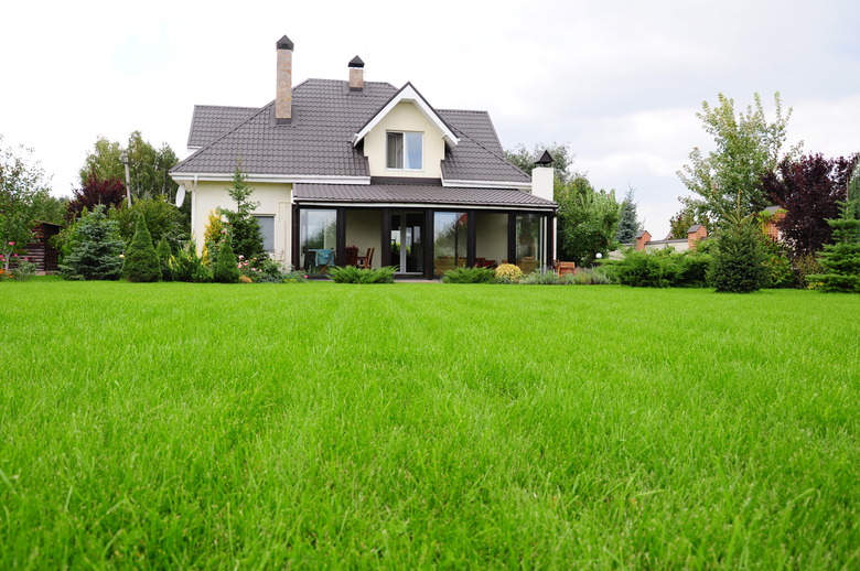 garden of a house