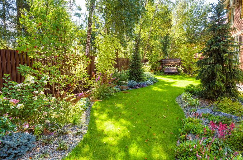 Landscaping in green home garden. Landscape design with plants and flowers at residential house. Scenic view of nice landscaped garden in backyard.