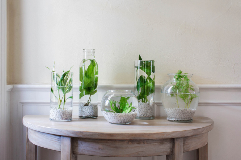 DIY indoor water garden