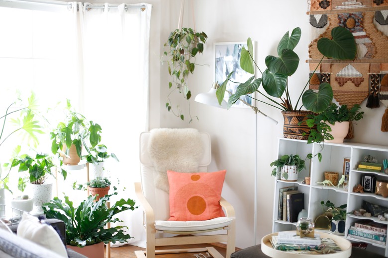 living room with shelves and plants