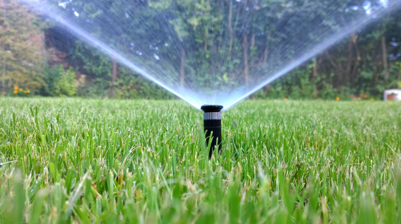 sprinkler of automatic watering