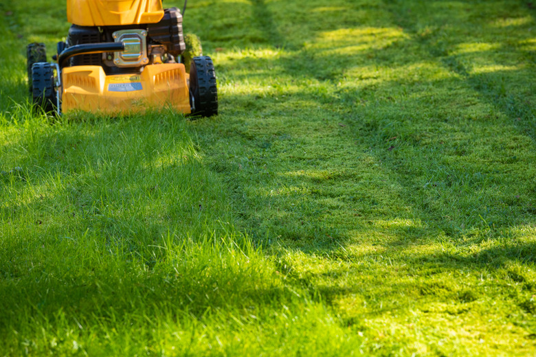 Lawn mower on grass in garden