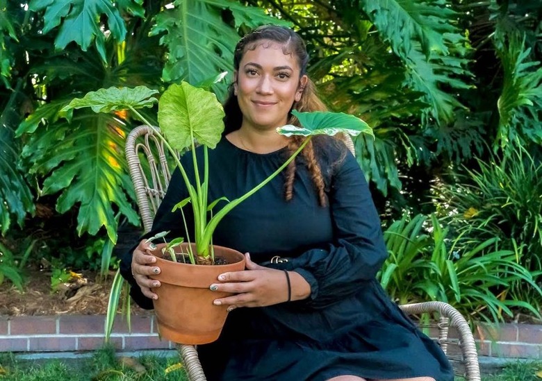 person holding a plant with greenery in the background