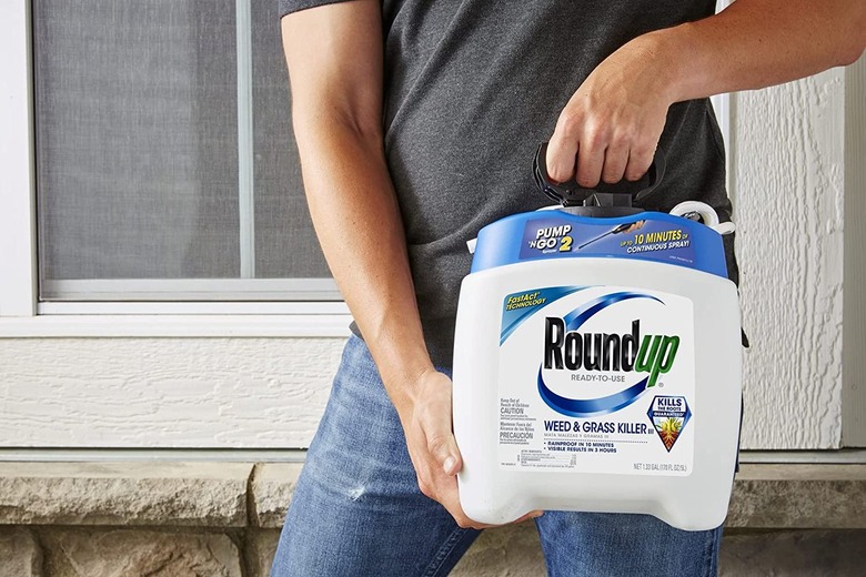 Roundup Weed and Grass Killer III Ready-to-Use Pump 