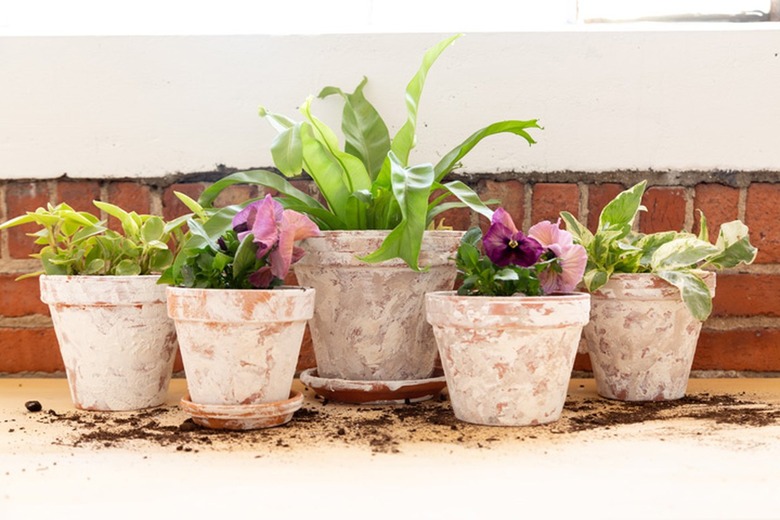 a group of DIY aged terra cotta pots