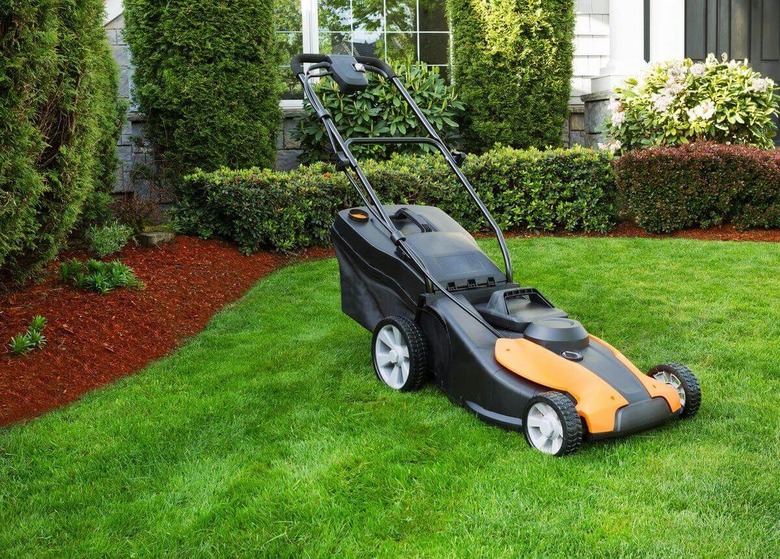 electric lawn mower