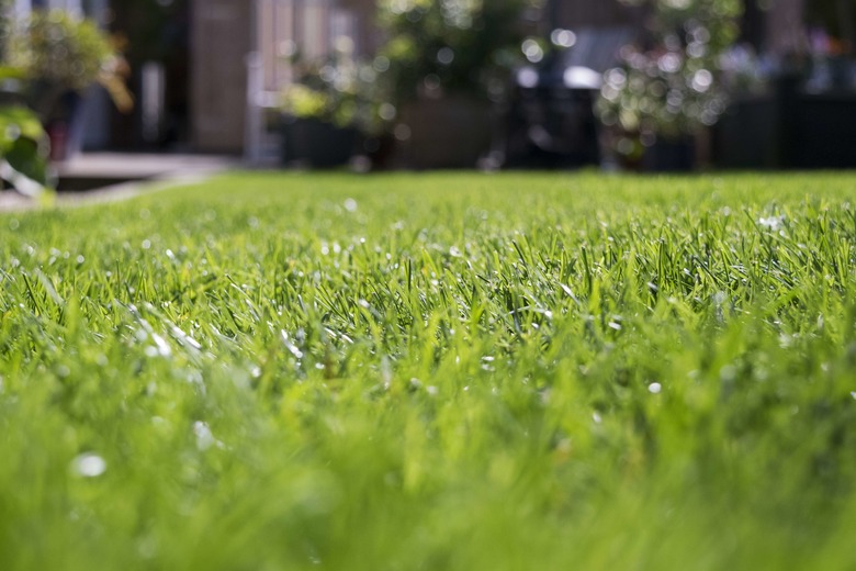 Close-Up Of Grass On Field