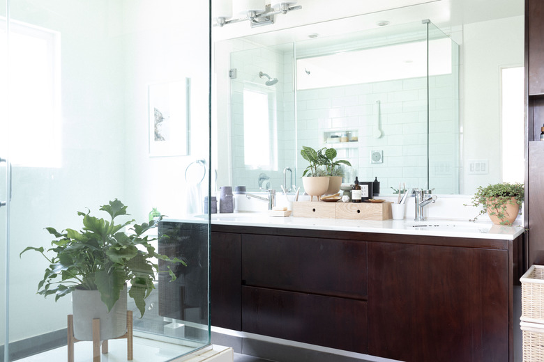 Bathroom with plants and plant in shower