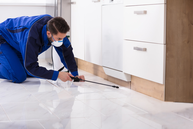 Man Spraying Pesticide In Kitchen