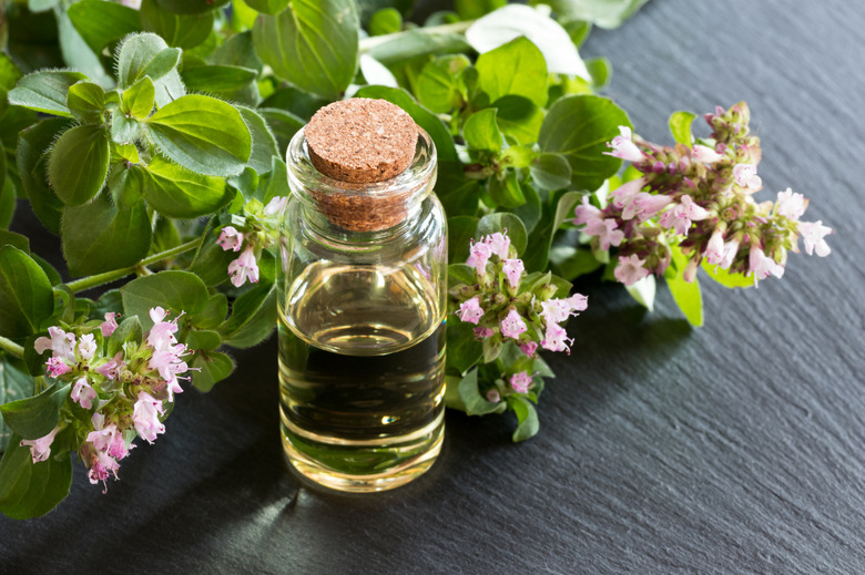 A bottle of oregano essential oil