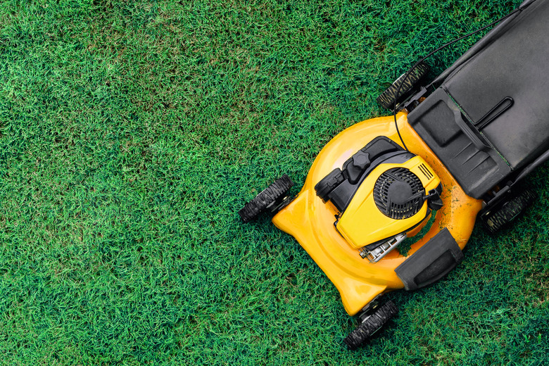 Yellow lawn mowers cut green grass.