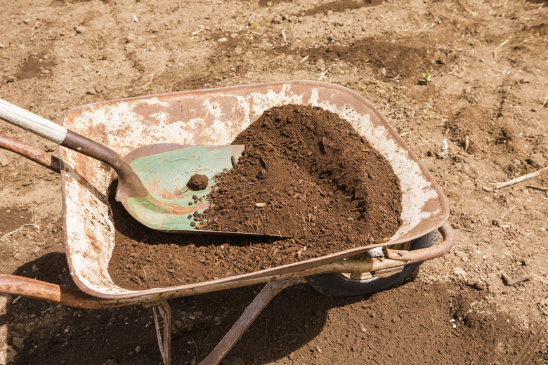 Community garden