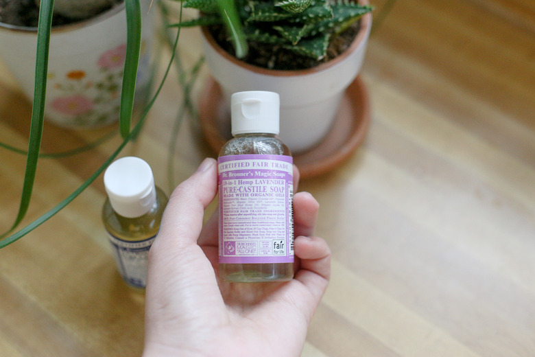 How to Use Dr. Bronner s As Insecticidal Soap Hunker