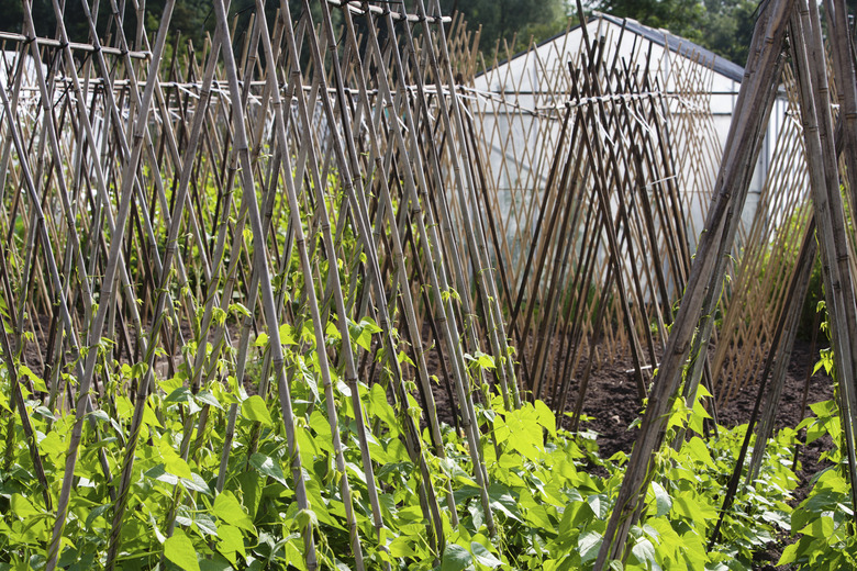 Organic gardening