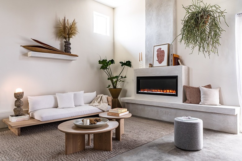 Minimalist modern living room with a gray-neutral theme and plants