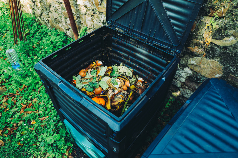 Compost bin with organic waste