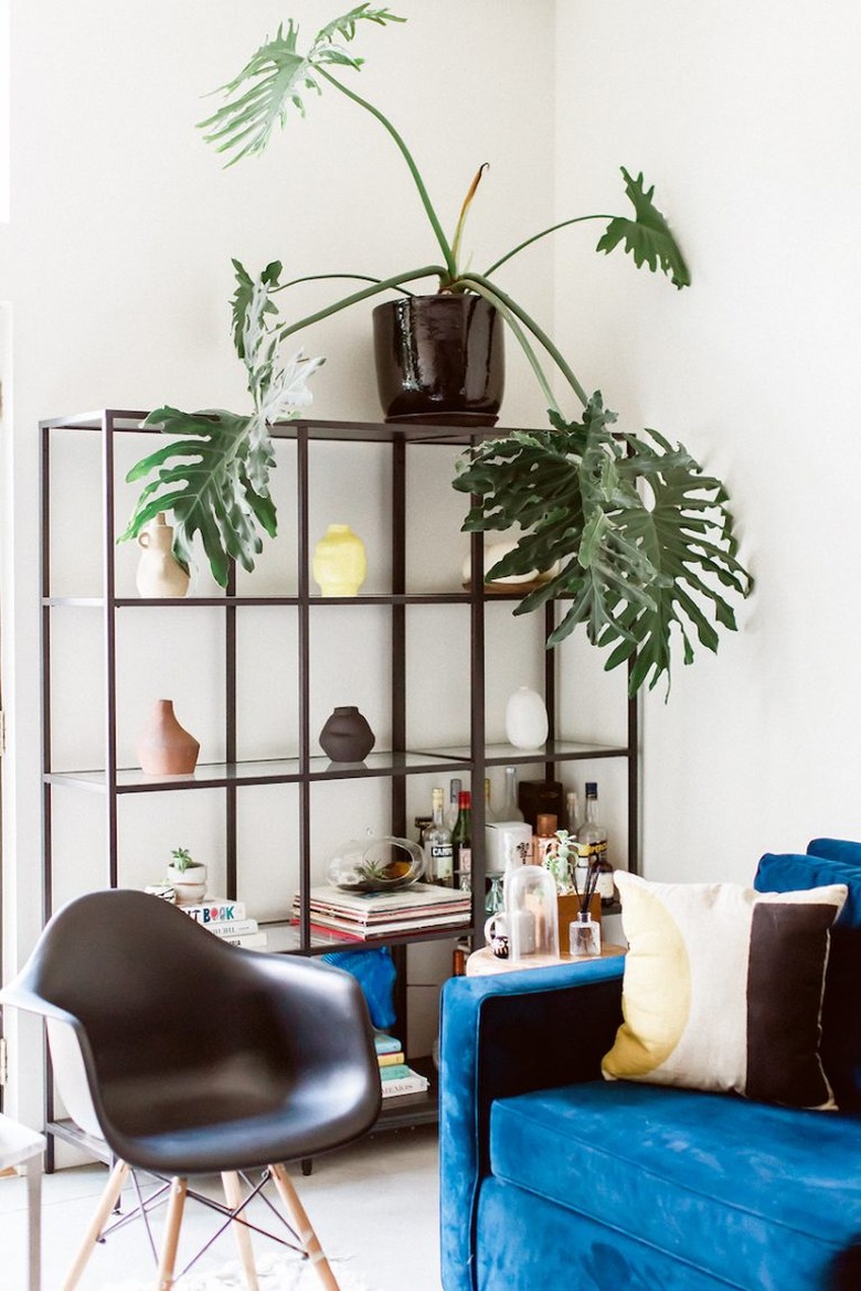 Black living room shelving idea with blue velvet sofa