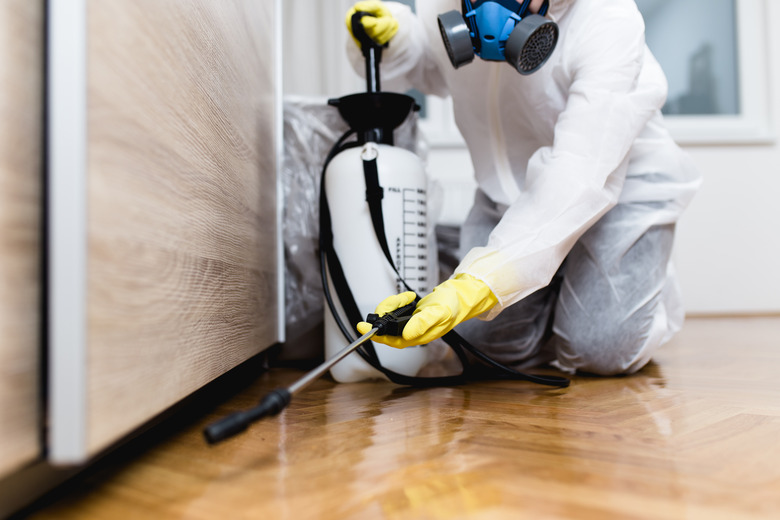 Exterminator working in home kitchen