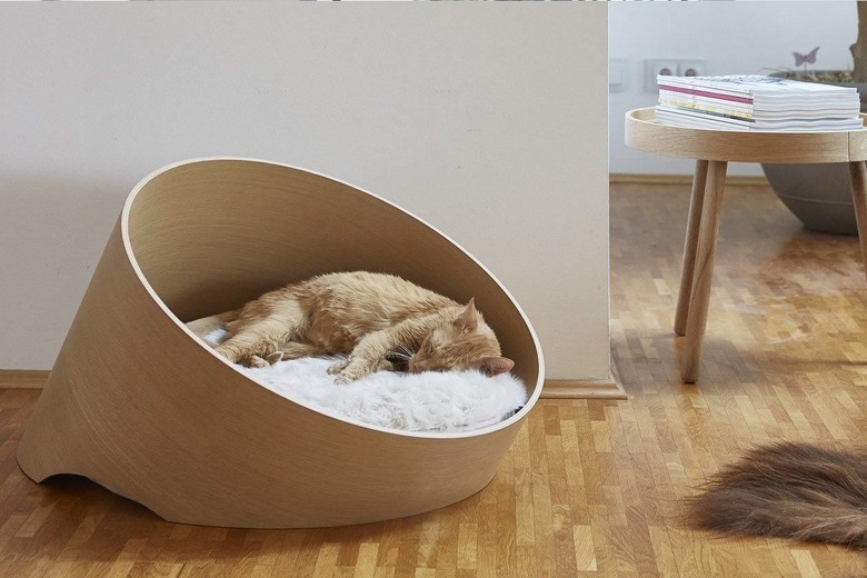 cat bed