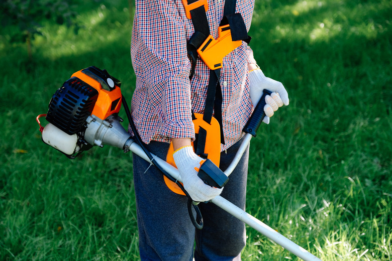 Female hands holding gasoline string trimmer, close-up view. Garden work concept.