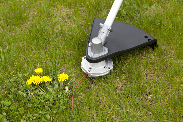 Dandelion and Weed Trimmer