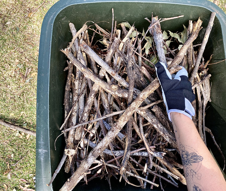 Branch Bin Collection In Yard