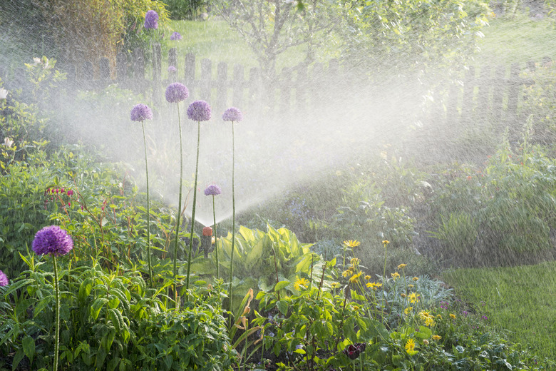 Watering in the flower garden