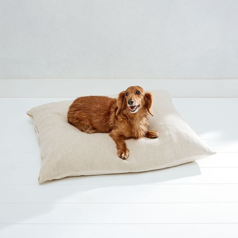 dog sitting on linen dog bed