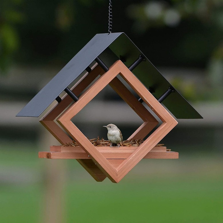 11 Bird Feeders That Double as Chic Outdoor Decor Hunker