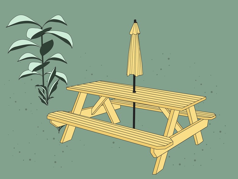 picnic table illustration