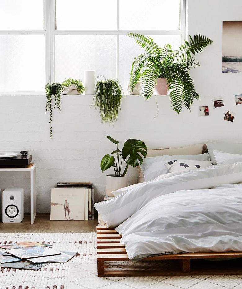 bohemian bedroom with plants and platform bed