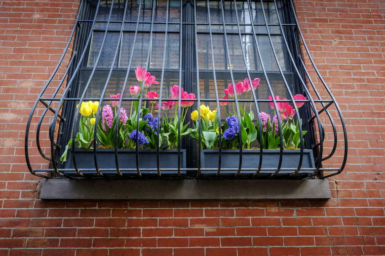 Window Flower Box in Manhattan