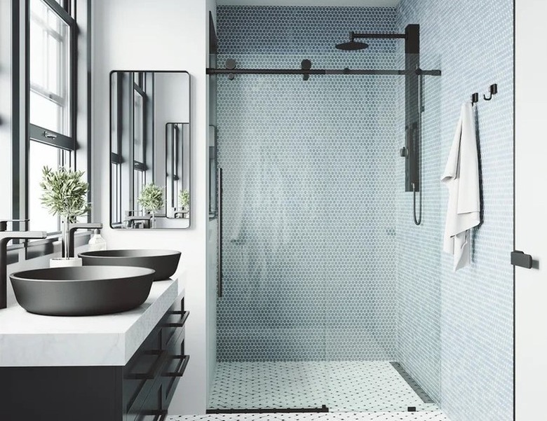 Frameless Shower Door