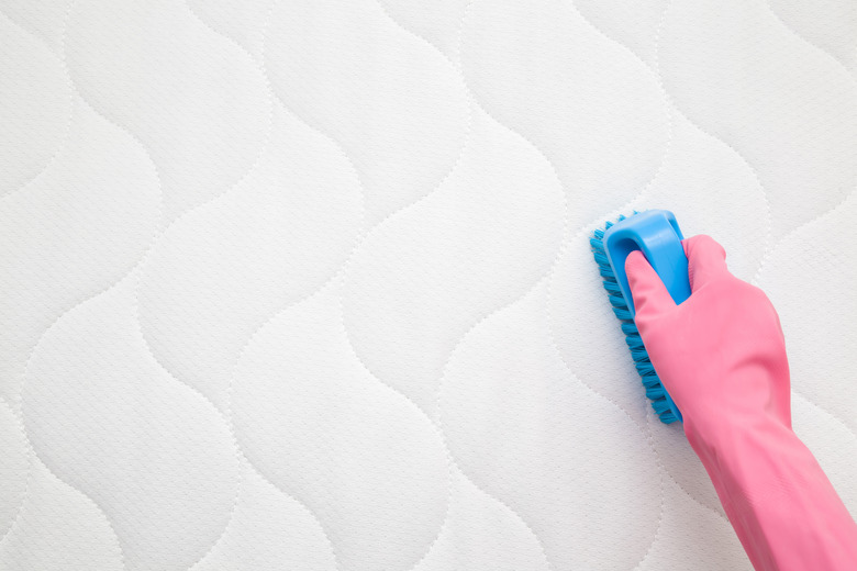 Employee hand in rubber protective glove cleaning new modern white mattress with professionally brush. Regular cleanup. Commercial cleaning company. Copy space. Empty place for text or logo. Top view.