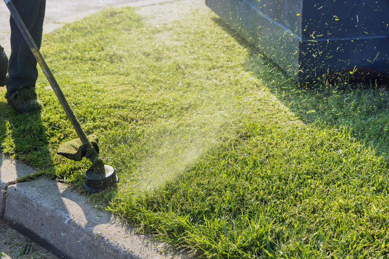 Close up on string trimmer head weed cutter brushcutter working in the yard cutting grass in garden