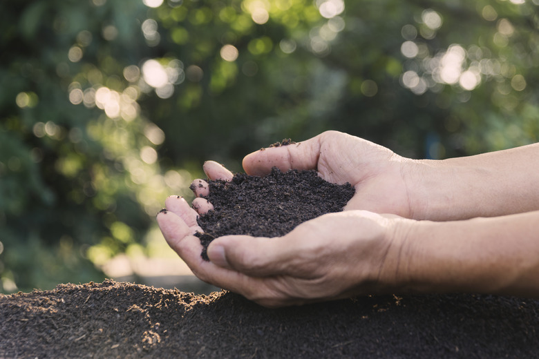 Closeup hands holding abundance soil in nature background for agriculture or planting peach concept.