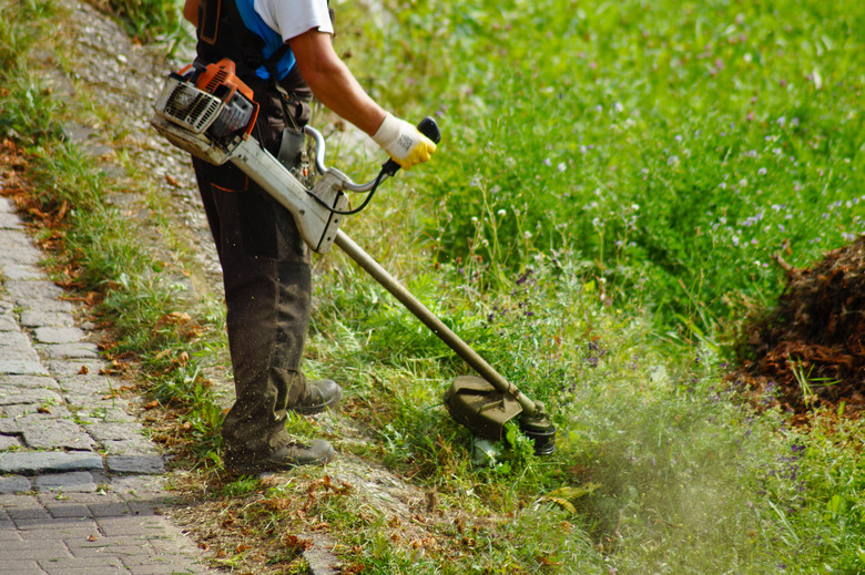 Low Section Man Cutting Grass With Strimmer In Yard