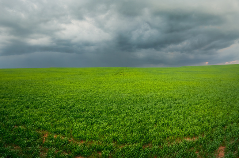 field with a bright green grass under the sky with large dark storm clouds