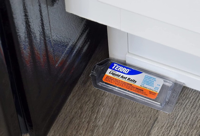 Terro Liquid Ant Bait under cabinet.