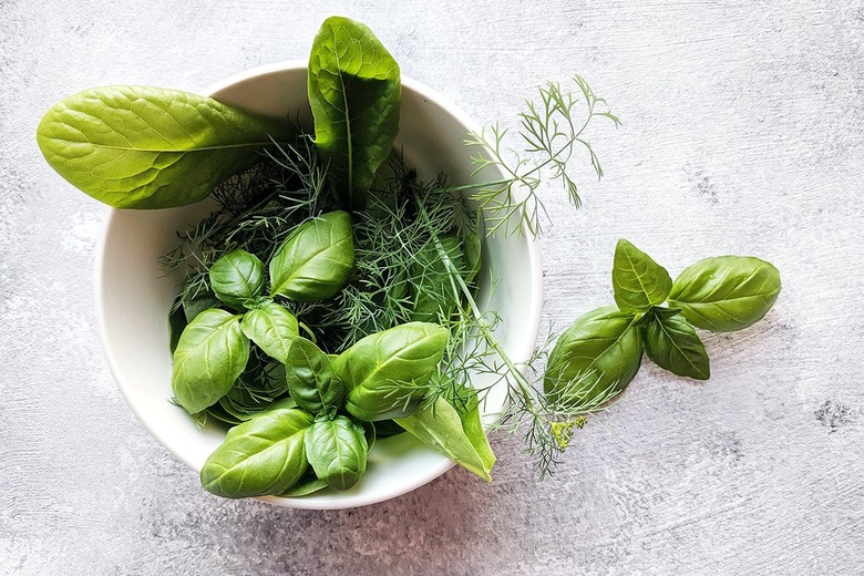 Fresh tender herbs in a white bowl on a gray background