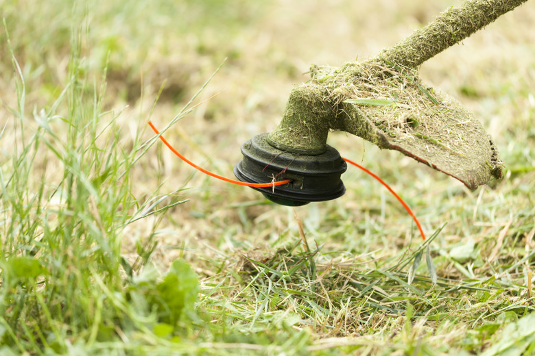 Mowing the grass