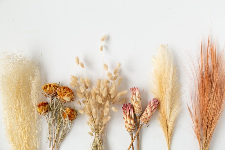 Dried orange-neutral flowers and grass