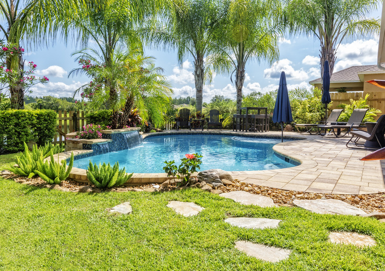 Beautiful Swimming Pool and Palm Trees